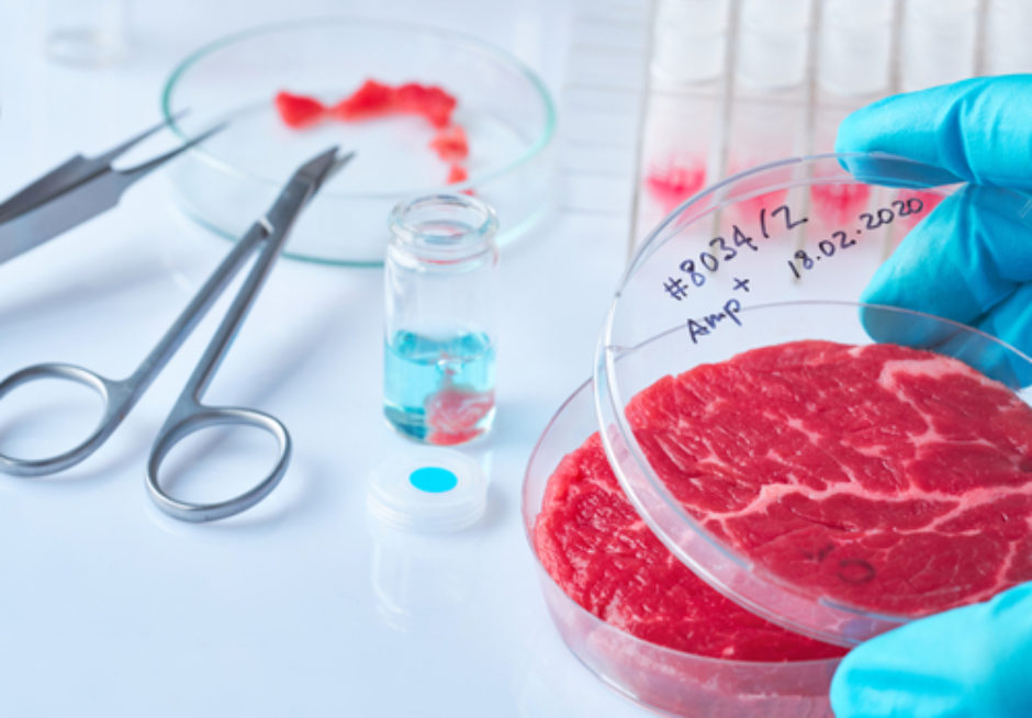How Do They Grow CellBased Meat? Clean Food Facts